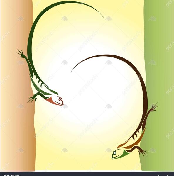 عکس مارمولک روی دیوار
