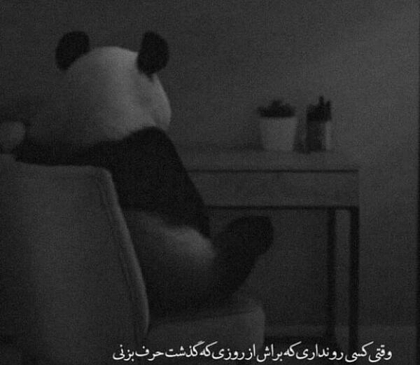 عکس خرس غمگین برای پروفایل
