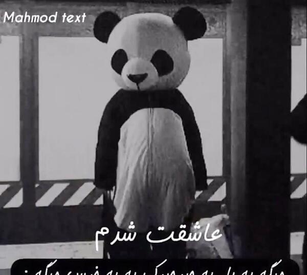 عکس خرس غمگین برای پروفایل