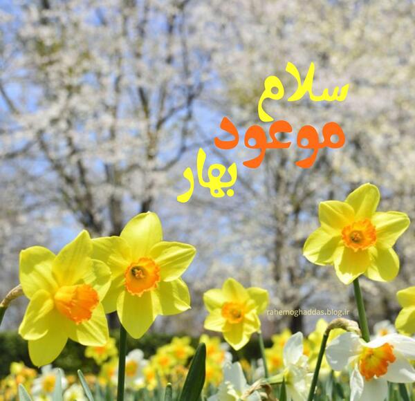 عکس بهار مهدوی