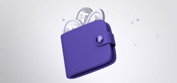 عکس کیف پول وینکس