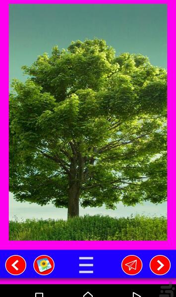 عکسهای صفحه گوشی سامسونگ