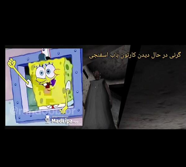 عکس باب اسفنجی گرنی