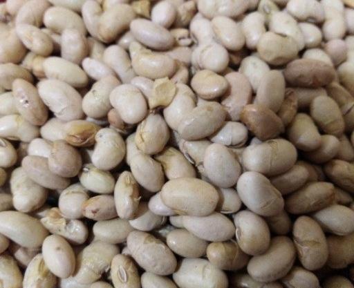 عکس سویا آجیل