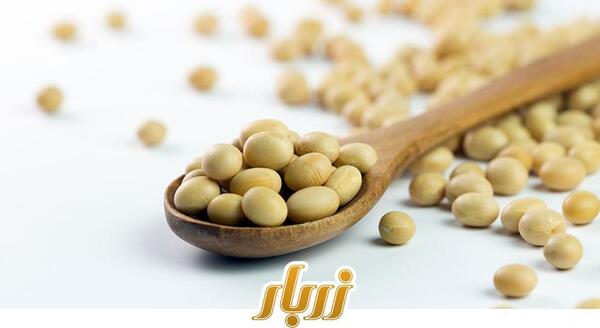 عکس سویا آجیل