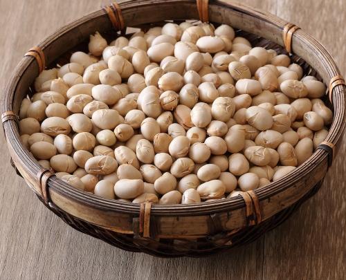 عکس سویا آجیل
