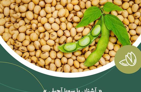 عکس سویا آجیل