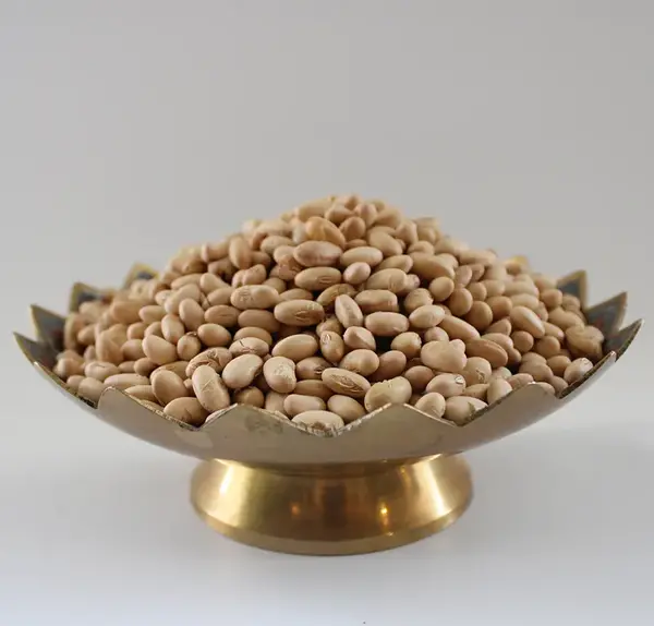 عکس سویا آجیل