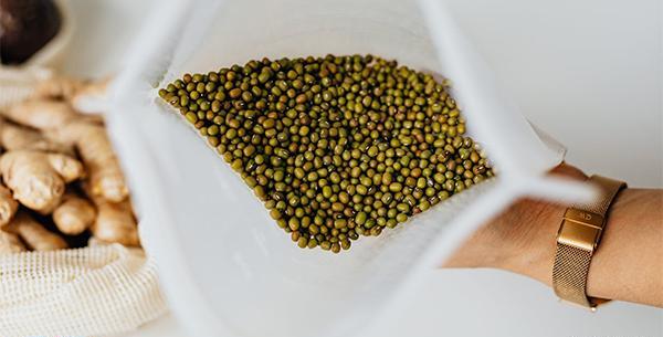 عکس سویا آجیل