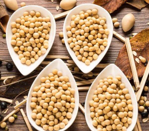 عکس سویا آجیل