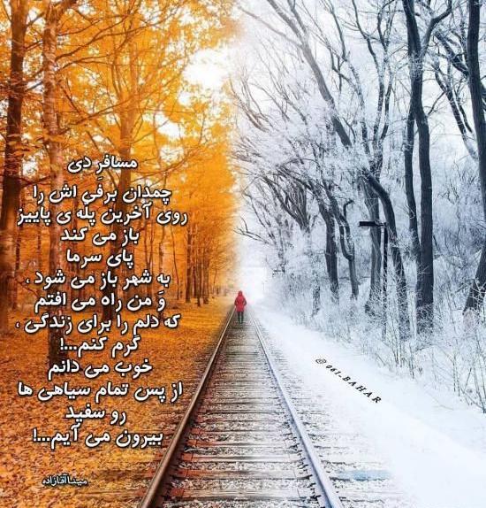 عکس پروفایل زیبا دی ماهی