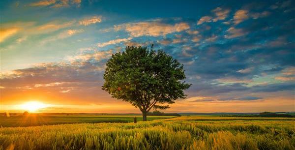 عکس تصویر پس زمینه طبیعت 4k
