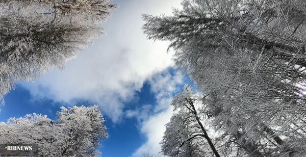 عکسهای جاده عباس آباد کلاردشت