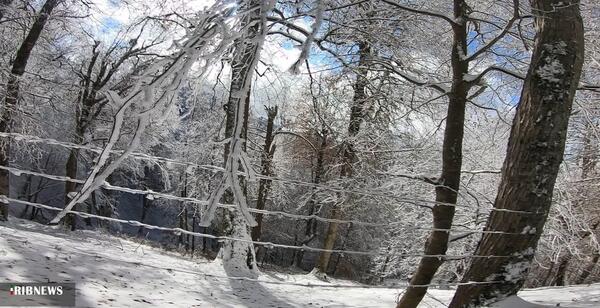 عکسهای جاده عباس آباد کلاردشت