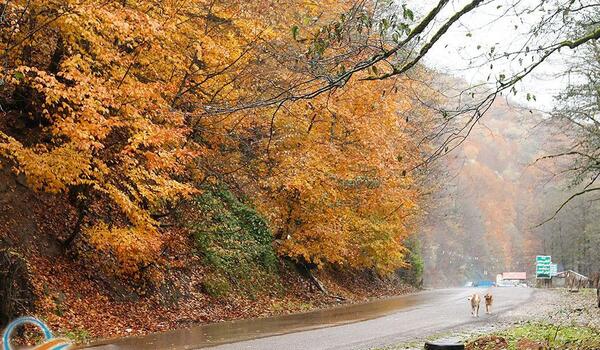 عکسهای جاده عباس آباد کلاردشت