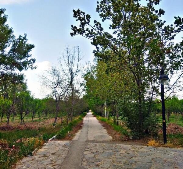 عکس ویلاهای طرقبه