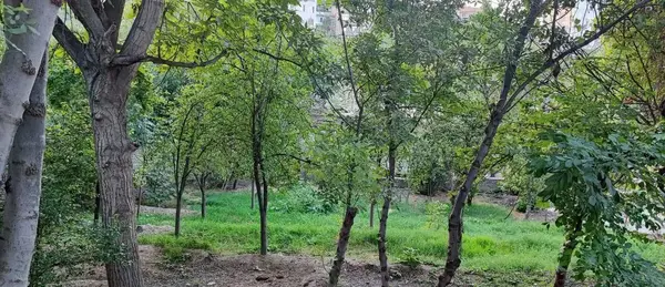 عکس ویلاهای طرقبه