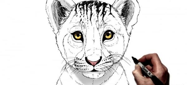 عکس ایده نقاشی شیر