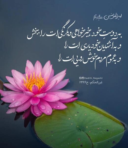 عکس در مورد خیرخواهی