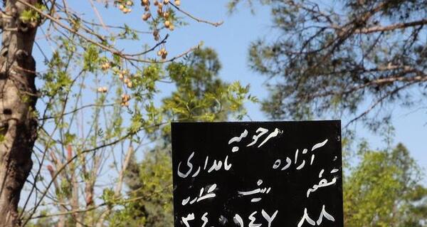 عکس مراسم دفن آزاده نامداری