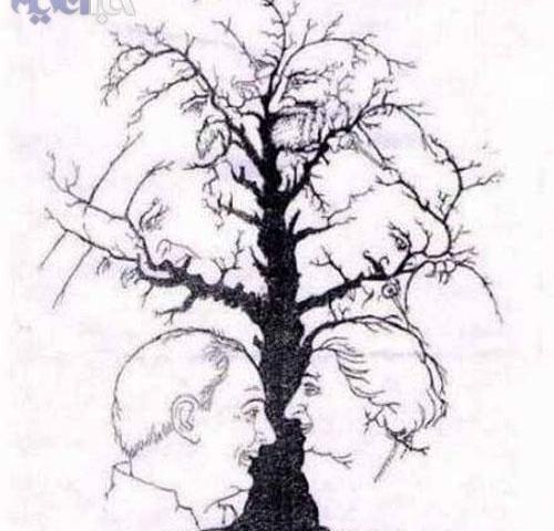 عکس چالش چند درصد احتمال دارد