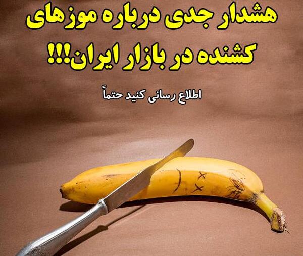 عکس عنکبوت سرگردان برزیلی