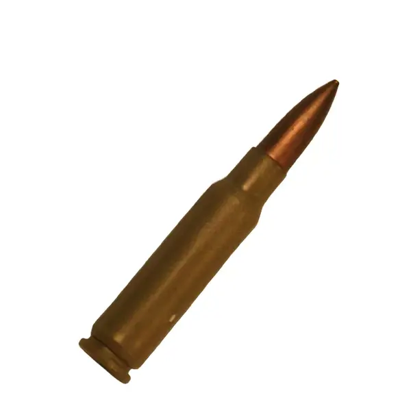 عکس توی فشنگ