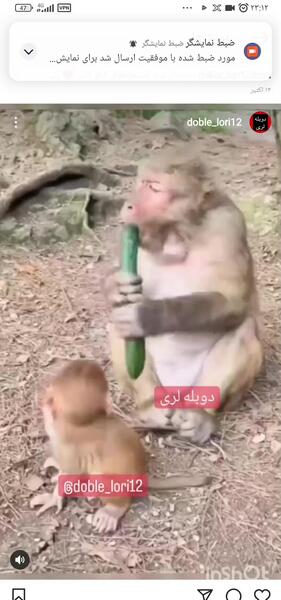 عکس خنده دار ضبط شده