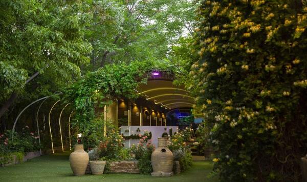 عکس غذای بهشت