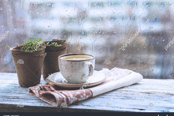 عکس لیوان چای در طبیعت