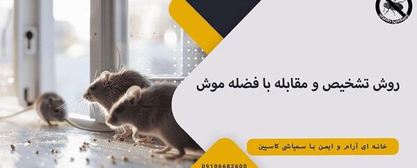 عکس فضله ی مارمولک