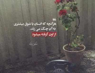 عکس بهنام زاده