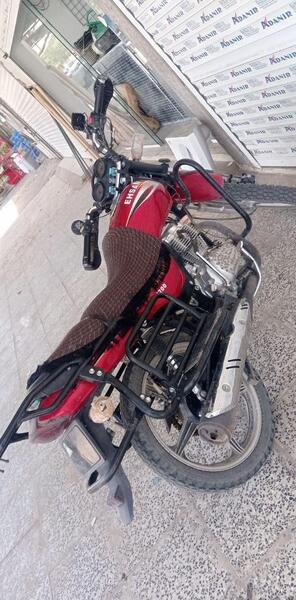 عکس احسان شکاری