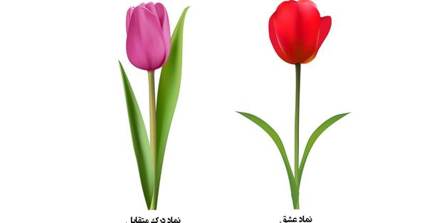 عکس گل لاله برای شهدا
