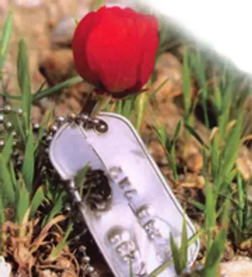 عکس گل لاله برای شهدا