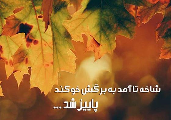 عکس استوری پاییز و باران