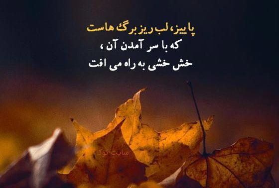 عکس استوری پاییز و باران