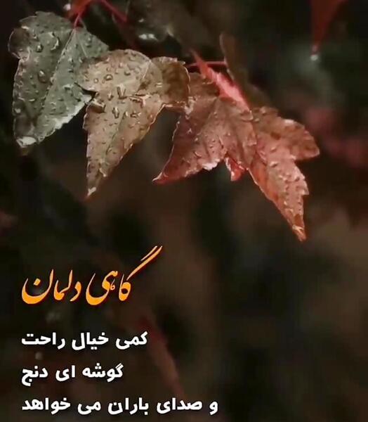 عکس استوری پاییز و باران