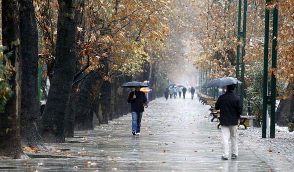 عکس از بارش باران بهاری
