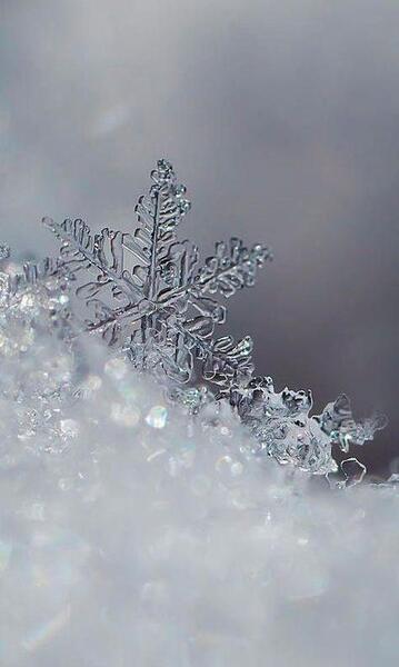عکس زمستان شیک