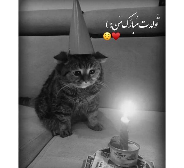 عکس تولدم مبارک ویسگون