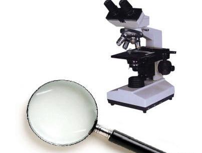 عکس تصویر ذره بین چگونه است