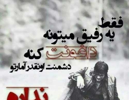 عکس نوشته شاخ رفیق