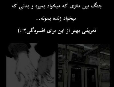 عکس مود تستچی