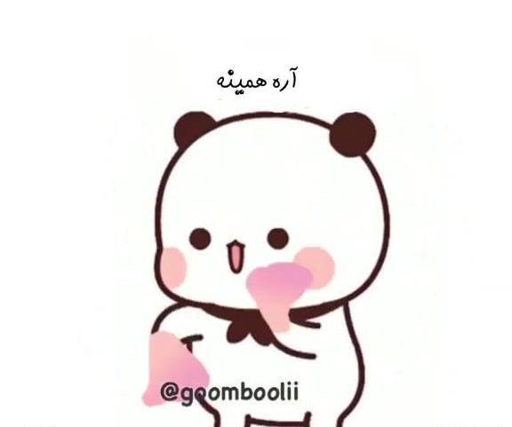 عکس عاشقانه گومبولی و گریزلی