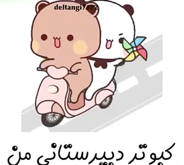 عکس عاشقانه گومبولی و گریزلی