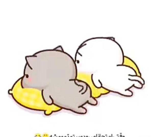 عکس عاشقانه گومبولی و گریزلی