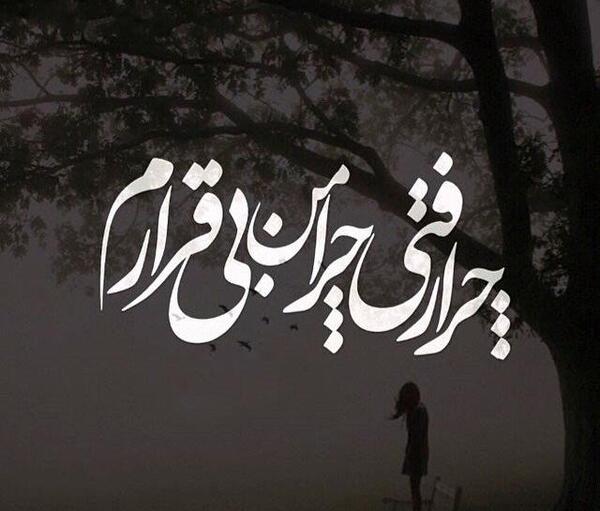 عکس ببر مرده