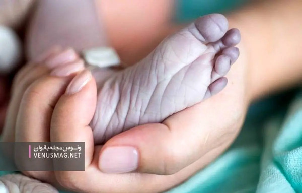 عکس ببر مرده
