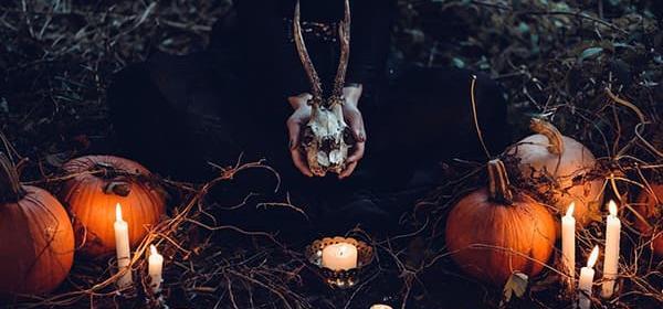 عکس ببر مرده